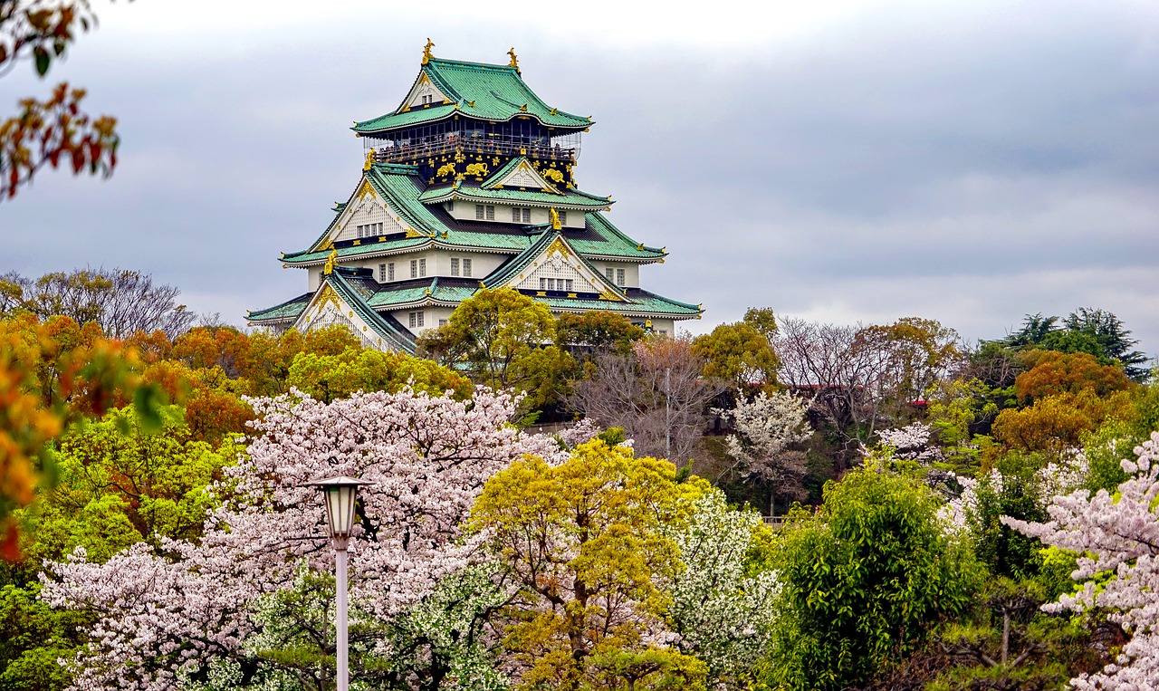屯昌追寻梦想的起点：为何选择高考后去日本留学？